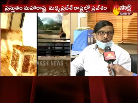 Loss Of Crops Due To Locust Attack