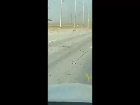 Locust Attack in India