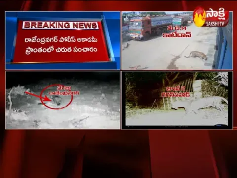 Leopard Spotted Again in Hyderabad