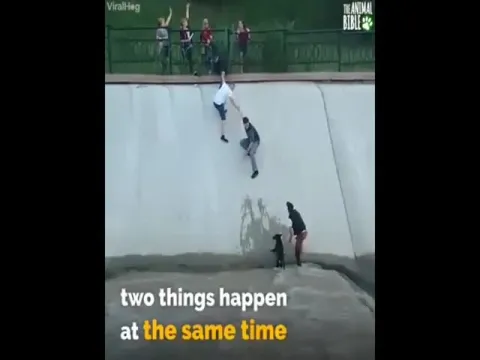  - Sakshi