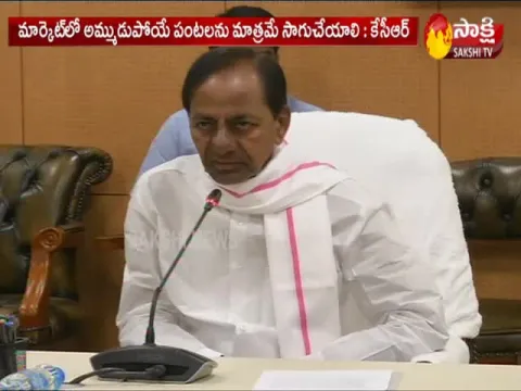 Telangana State To focus On Achieving Nutritious Food Security:KCR