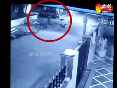 Street Dog Attack On 5 Year Old boy