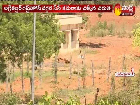 Leopard Hulchul In Rajendra Nagar Hyderabad