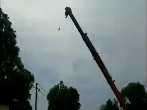 Uttar Pradesh Bareilly Police Saves Pigeon Stuck In China Manja Video 