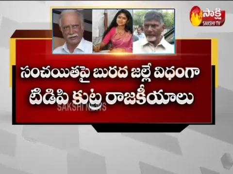 TDP Politics On Sanchaita Gajapati Raju
