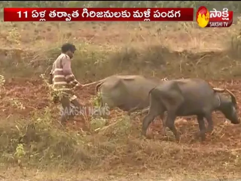 House Site Pattas Distributing To People In AP