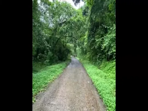 Manisha Koirala Instagram Post Video