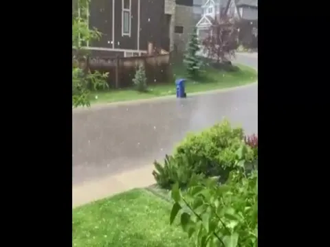 Dustbin Floats away in Water Video Gone Viral
