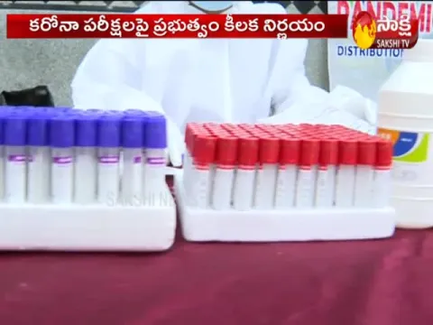 Telangana Government Decided To Do Rapid Tests