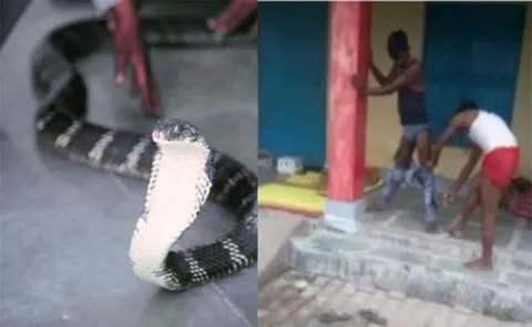 Watch: Snake Enters In Pant In Uttar Pradesh - Sakshi