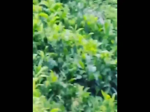  - Sakshi