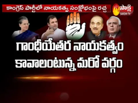 Sonia Gandhi Remain Congress Interim President