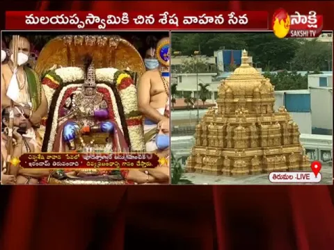  Lord's ride on Chinna Sesha Vahanam At Tirumala