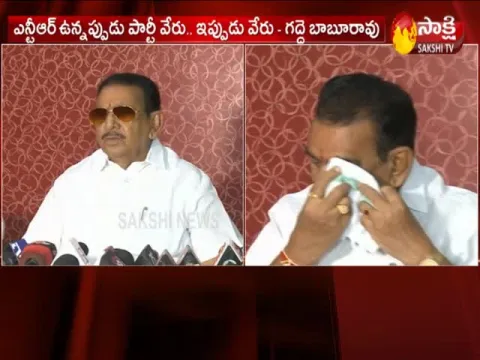 Gadde Babu Rao Resigns From Telugu Desam Party