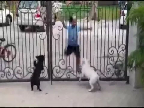 Little Boy Funny Dance Video In Twitter Video Gone Viral
