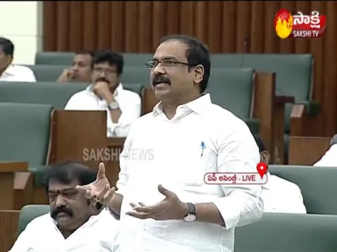Minister Kurasala Kanna Babu Speech At Assembly Sessions