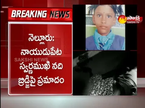 Nellore District: Road Accident At Naidupeta