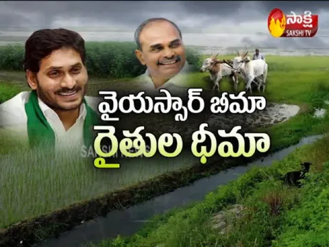 YSR Free Crop Insurance Scheme In AP