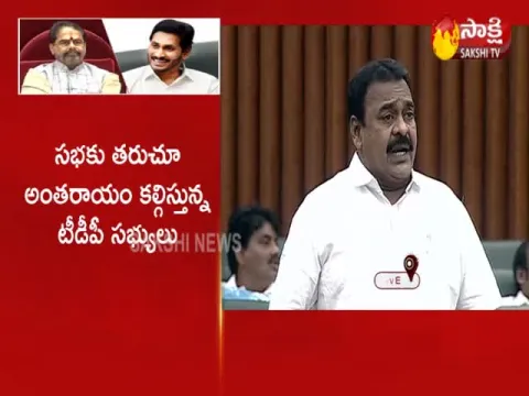 MLA Rapaka Vara Prasad Speaks About CM YS Jagan