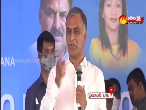 Minister Harish Rao Talks About Fishes Demand