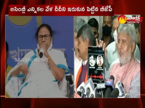 West Bengal Assembly Elections: Audio Clip Viral In Nandigram