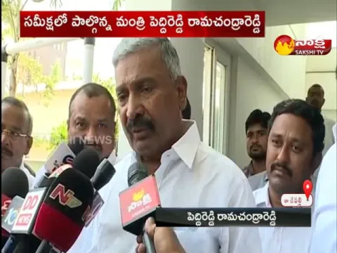 We Will Win All The Municipalities - Minister Peddi Reddy