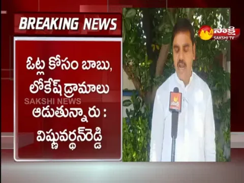 BJP Leader Vishnu Vardhan Reddy Fires On Chandrababu 