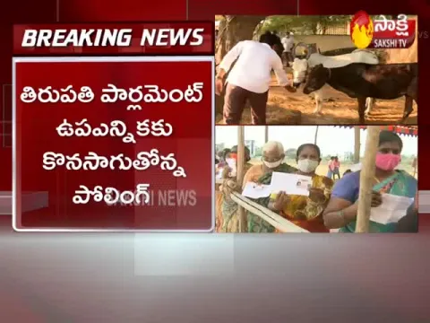Tirupati Lok Sabha Bypoll Election 2021 At 5PM PM Updates