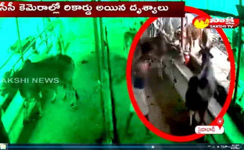 A Man Torture The Dumb Animals