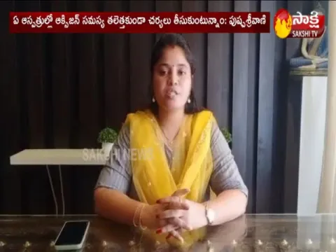 AP Deputy CM Pushpa Srivani Face To Face