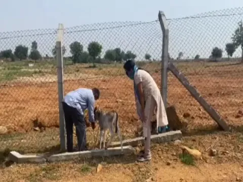 Viral: Anchor Suma Kanakala Clarifies On Negative Comments On Calf Video