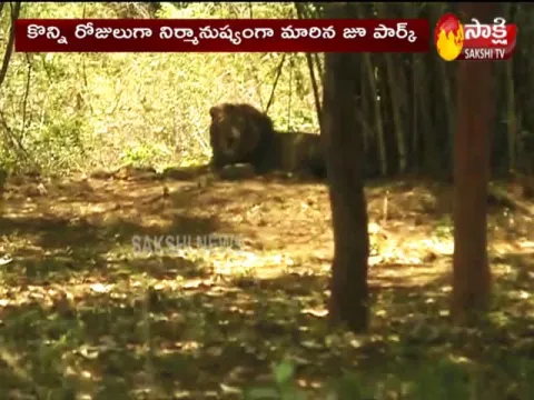 Visakha Zoo Closed Due To Covid