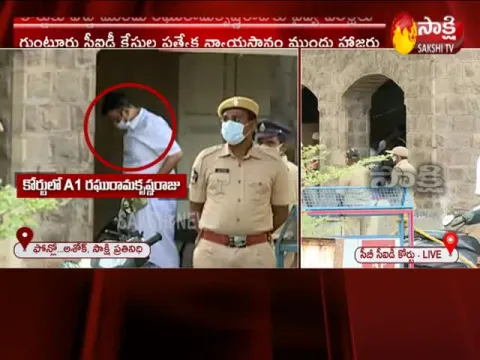 MP Raghu Rama Krishnaraju To CB CID Special Court