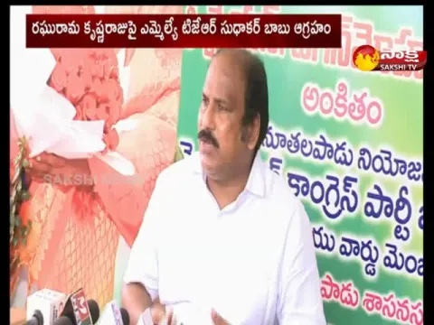 YSRCP MLA TJR Sudhakar Babu Fires On MP Raghu Rama Krishna Raju