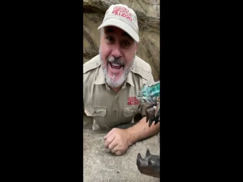 Viral Video: Lizard Grabs Worm Off