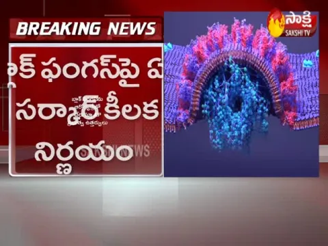 Andhra Pradesh: Black Fungus Treatment To Be Covered Under Aarogyasri