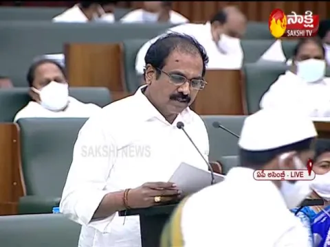 AP Budget 2021: Rs 31256 Crore Allocated For Agriculture