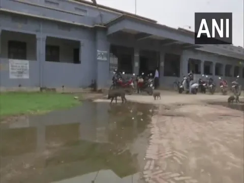 Bihar: DMCH Battles Waterlogging Garbage Stray Animals