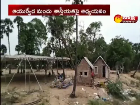 AYUSH Team Study On Ayurvedic Medicine in  Krishnapatnam