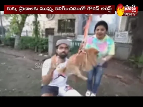 Viral Video: YouTuber Makes Pet Dog Fly Using Balloons In Delhi