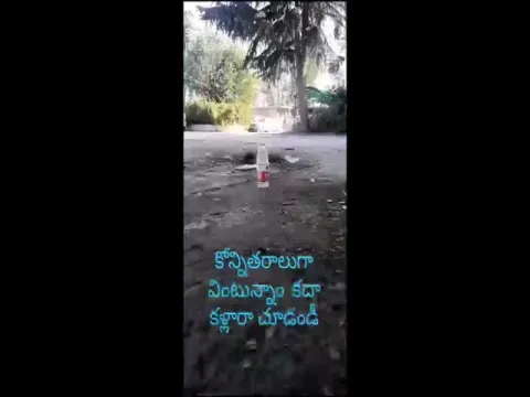 Viral Video: Bird Struggling For Water And Acted Wisely