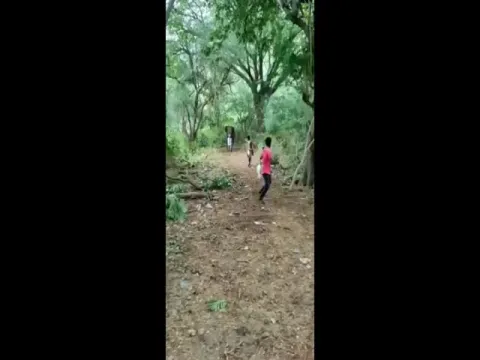 Viral Video: Tribal Youths Harassing Wild Elephants in Tamil Nadu
