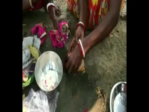 Tripura: Frog Wedding Video Gone Viral