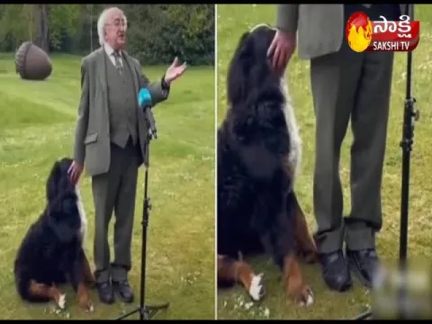  Ireland President Michael D Higgins Dog 