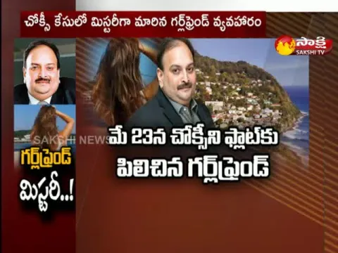 Sakshi Special Story On Mehul Choksi