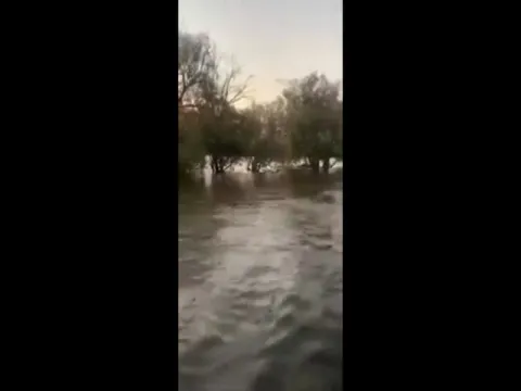 Viral Video: Giant Hippo Chases Speedboat In Kenya Victoria Lake 