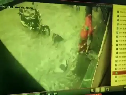 Viral Video: 2 Women Fall In Manhole In Waterlogged Mumbai
