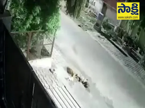 Viral Video: Biker Intentionally Crushes Two Puppies In Agra