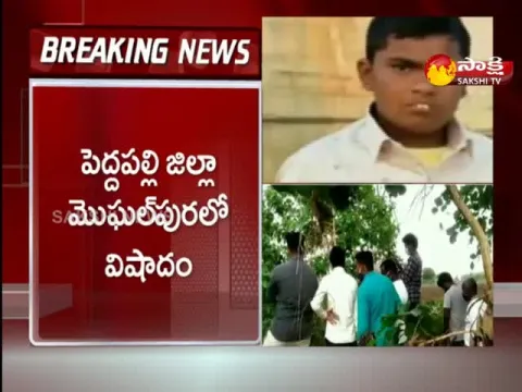 mother pushed her son into the well and killed him