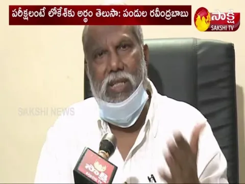 Pandula Ravindhrababu Fire On Lokeshbabu